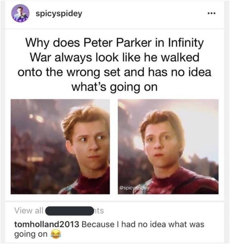 MCU: Hilarious Tom Holland Memes As Spider-Man! 7 Tom Holland Spoiler Tom Holland as Spiderman Memes.jpg?q=50&fit=crop&w=737&h=782&dpr=1