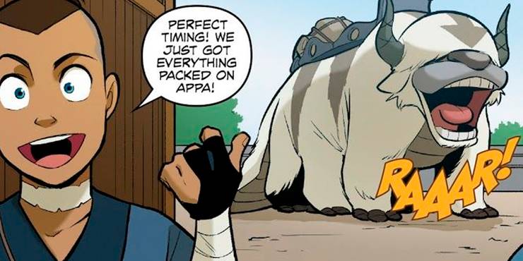 Avatar What Happened To Appa After The Last Airbender Ended Avatar What Happened To Appa After The Last Airbender Ended