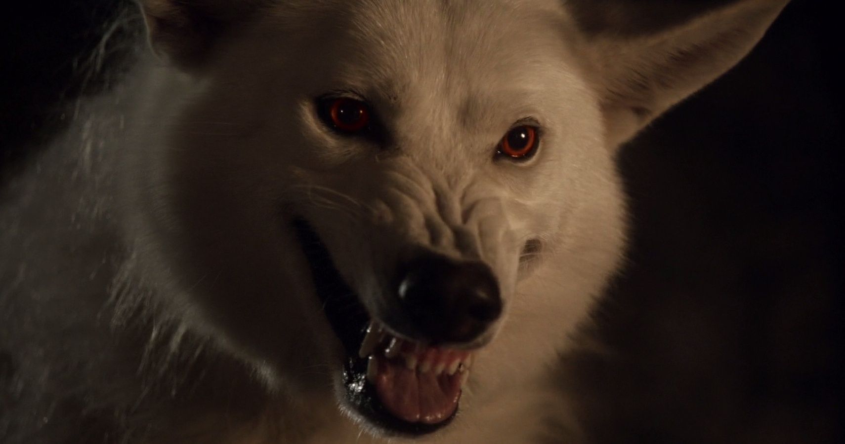 Games Of Thrones 10 Best Direwolf Moments Screenrant