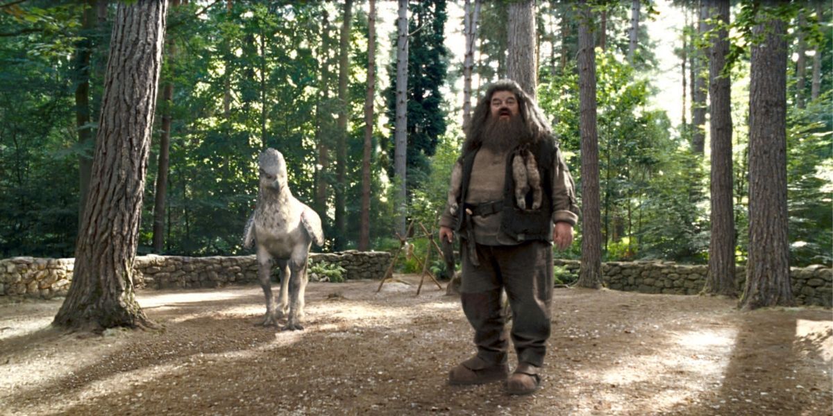 Harry Potter Hagrids 5 Best Pieces Of Advice (& His 5 Worst)