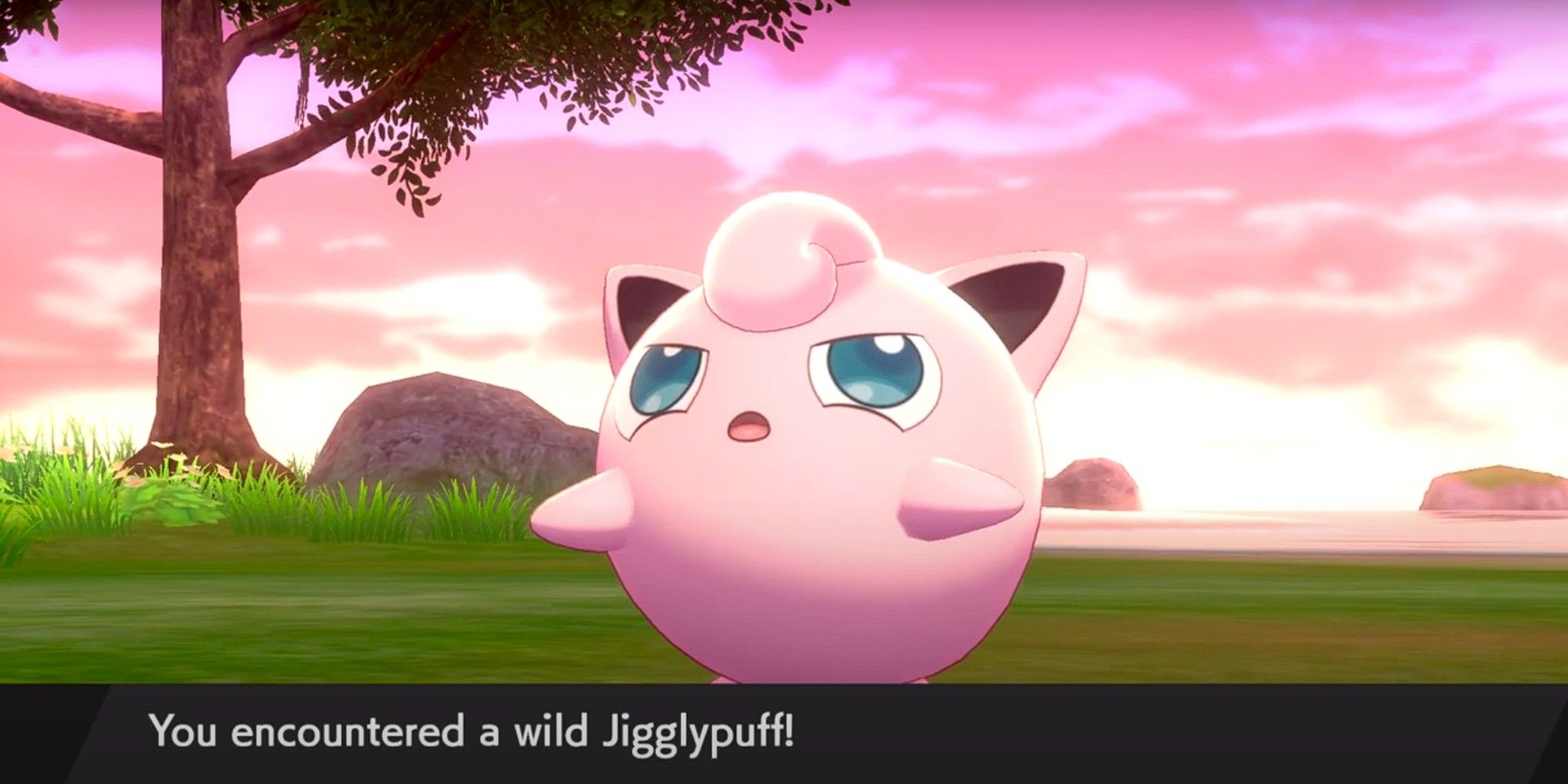 How to Find (& Catch) Jigglypuff in Pokémon Sword & Shield