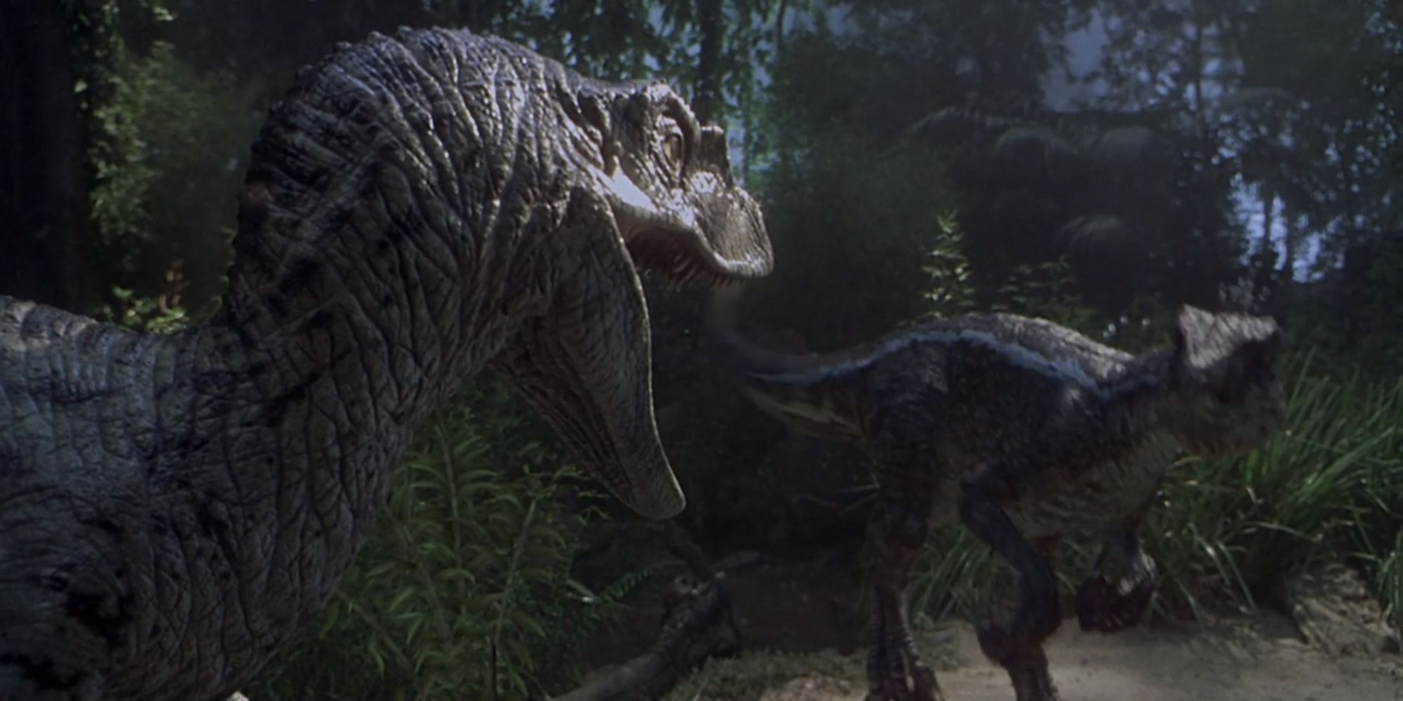 Velociaptor alpha commanding a raptor male in Jurassic Park III