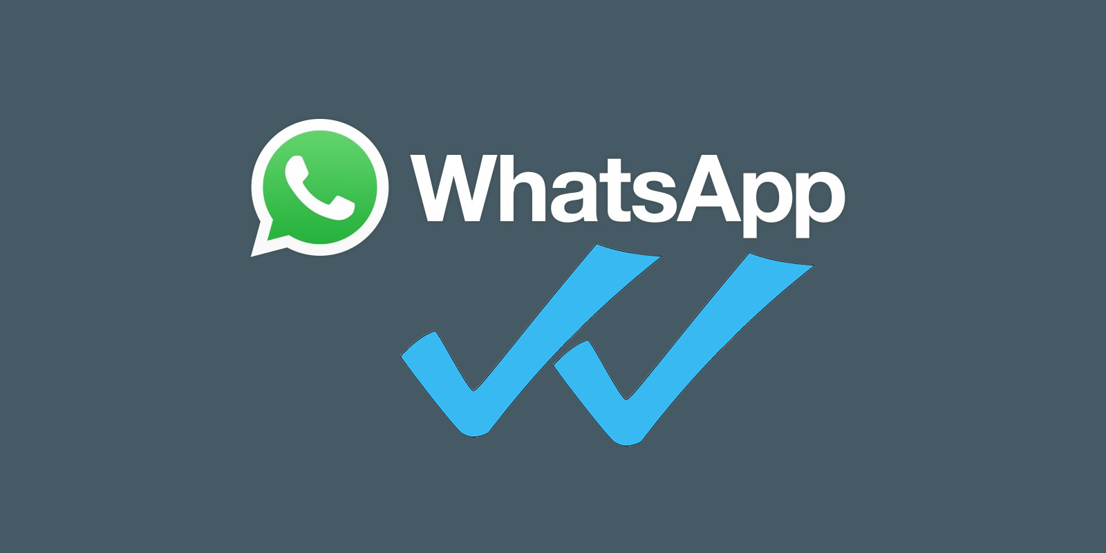 what does whatsapp check marks mean