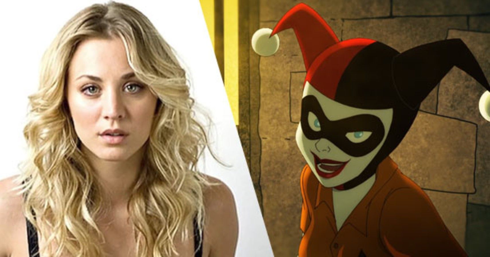 10 Show And Movies You Didn't Know The Cast of Harley Quinn Was In