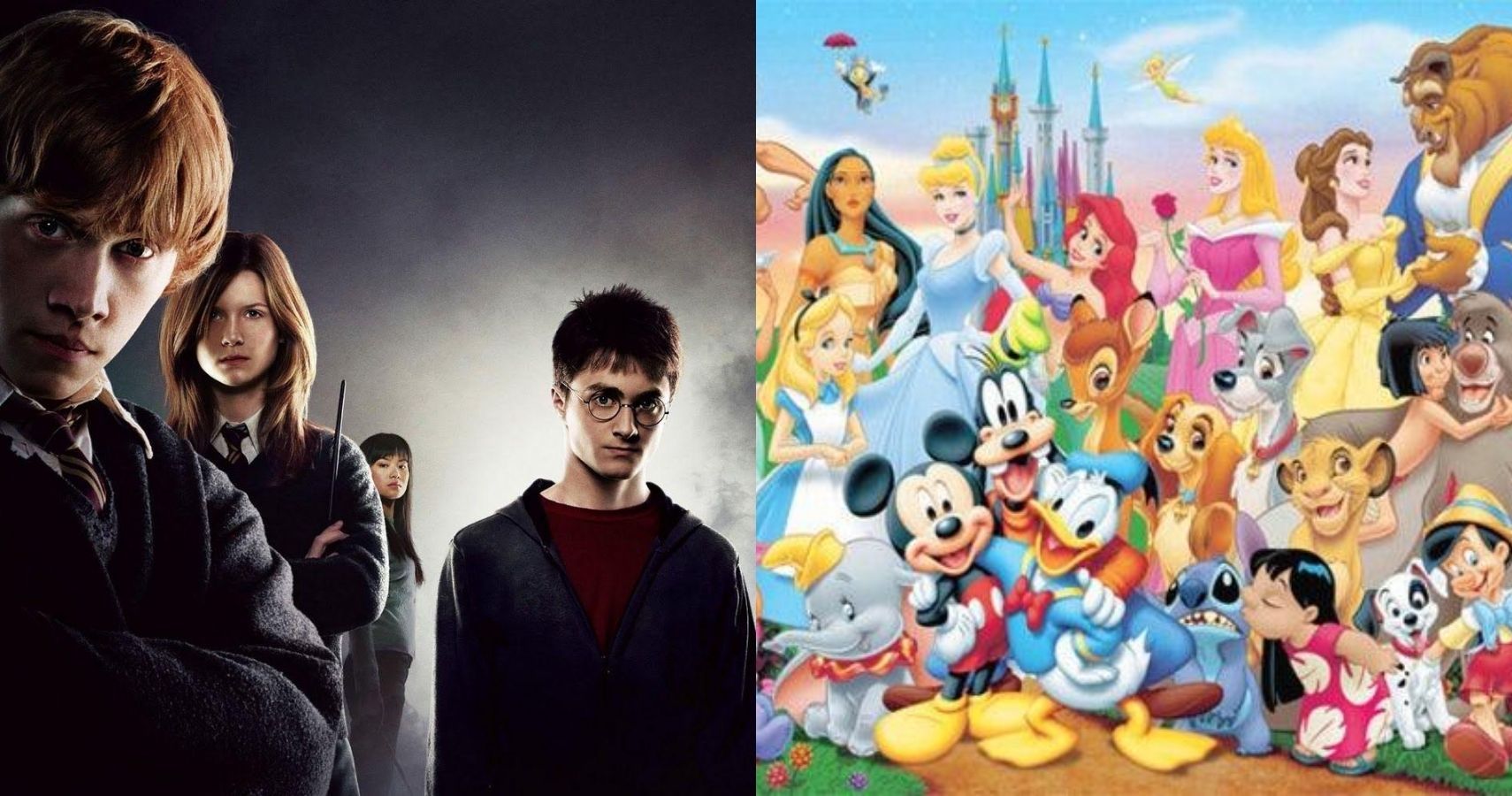 Harry Potter Characters & Their Disney Counterparts