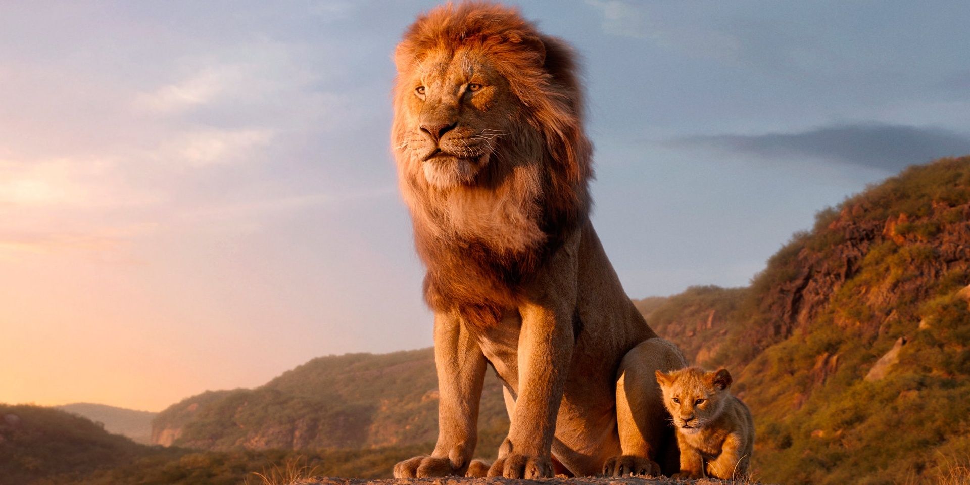 Everything You Need To Know About The Lion King 2