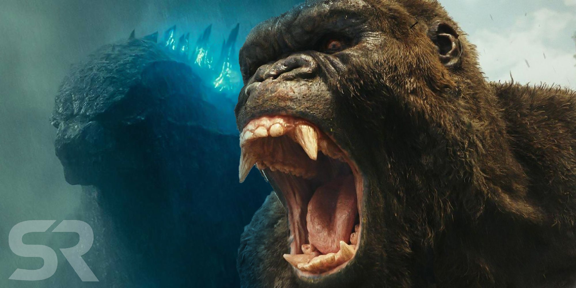 Godzilla Vs Kong Warbat Toy Release Date / Leaked Godzilla Vs Kong Toys