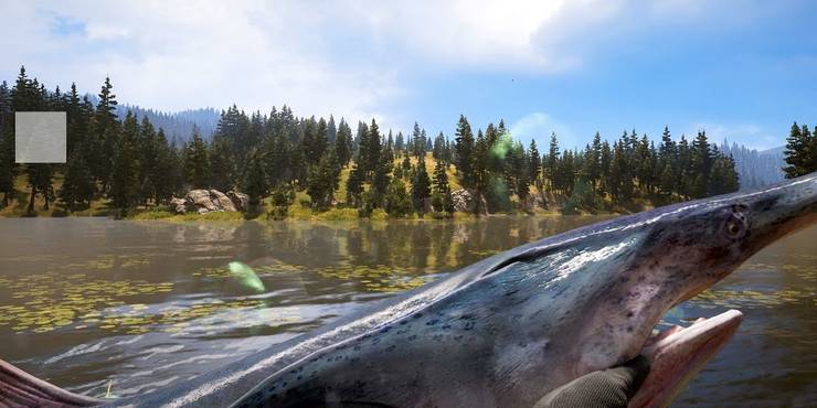 Fishing Records Far Cry 5