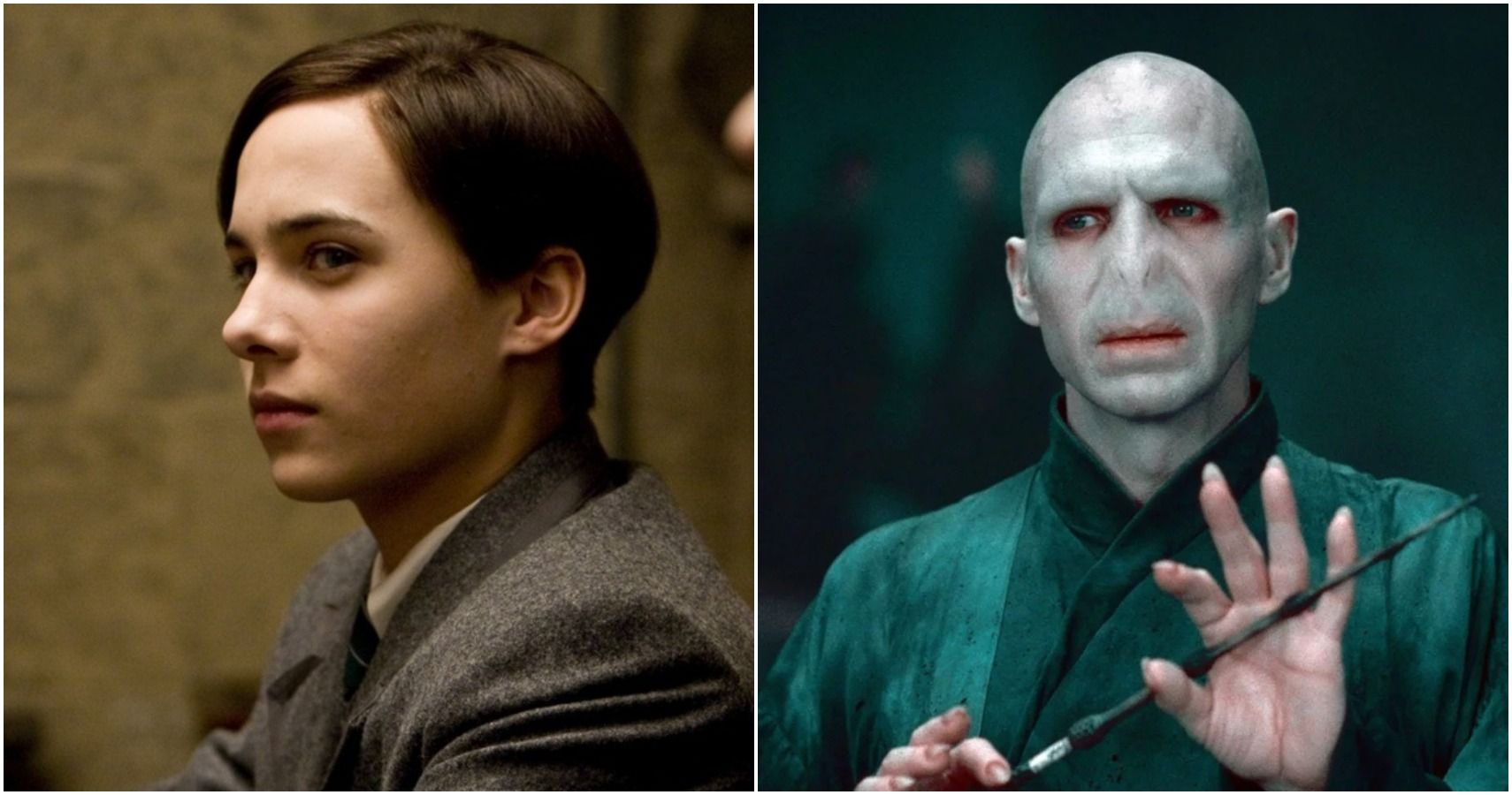 Harry Potter 10 Things About Voldemort That Movie Viewers Wouldnt Know