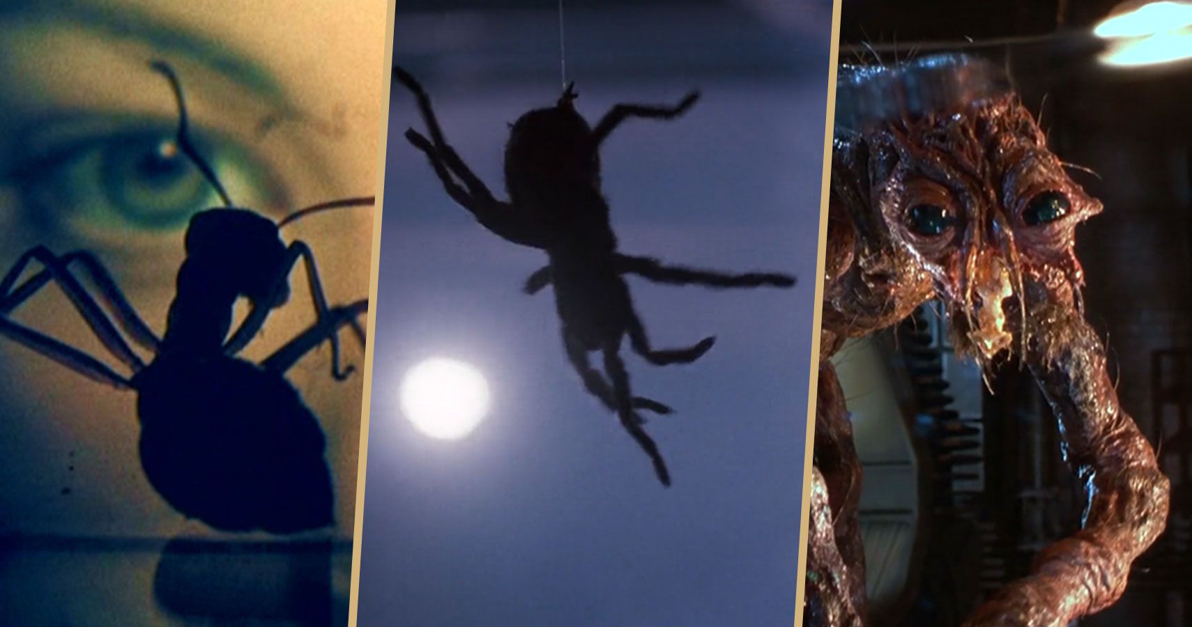 The Scariest Horror Films Featuring Spiders Insects