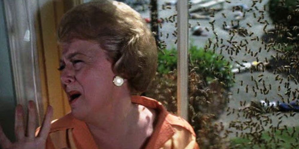 The 10 Scariest Horror Films Featuring Spiders & Insects