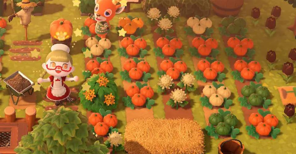 Download Free Every New Pumpkin Diy Recipe In Animal Crossing Screen Rant PSD Mockup Template