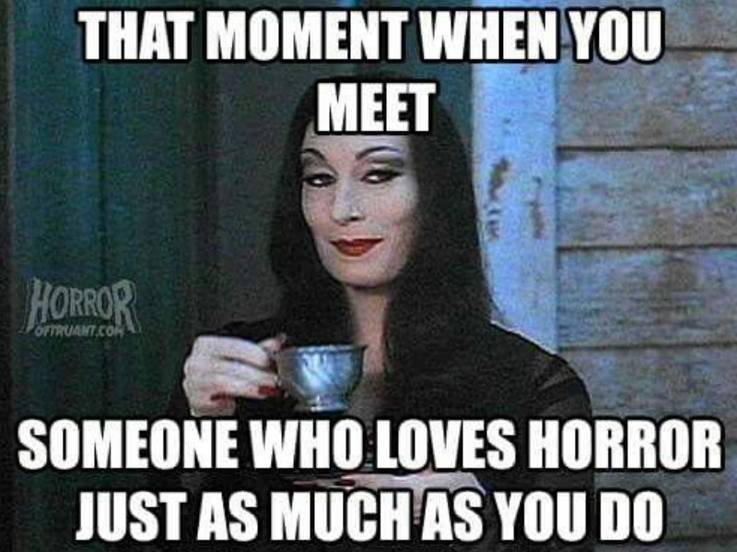 7 Horror Movie Memes That Will Make You Want To Watch One Now! 14 Love Horror Genre Meme.jpg?q=50&fit=crop&w=737&h=552&dpr=1