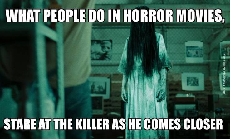 7 Horror Movie Memes That Will Make You Want To Watch One Now! 12 The Ring Horror Movie Meme.jpg?q=50&fit=crop&w=737&h=446&dpr=1