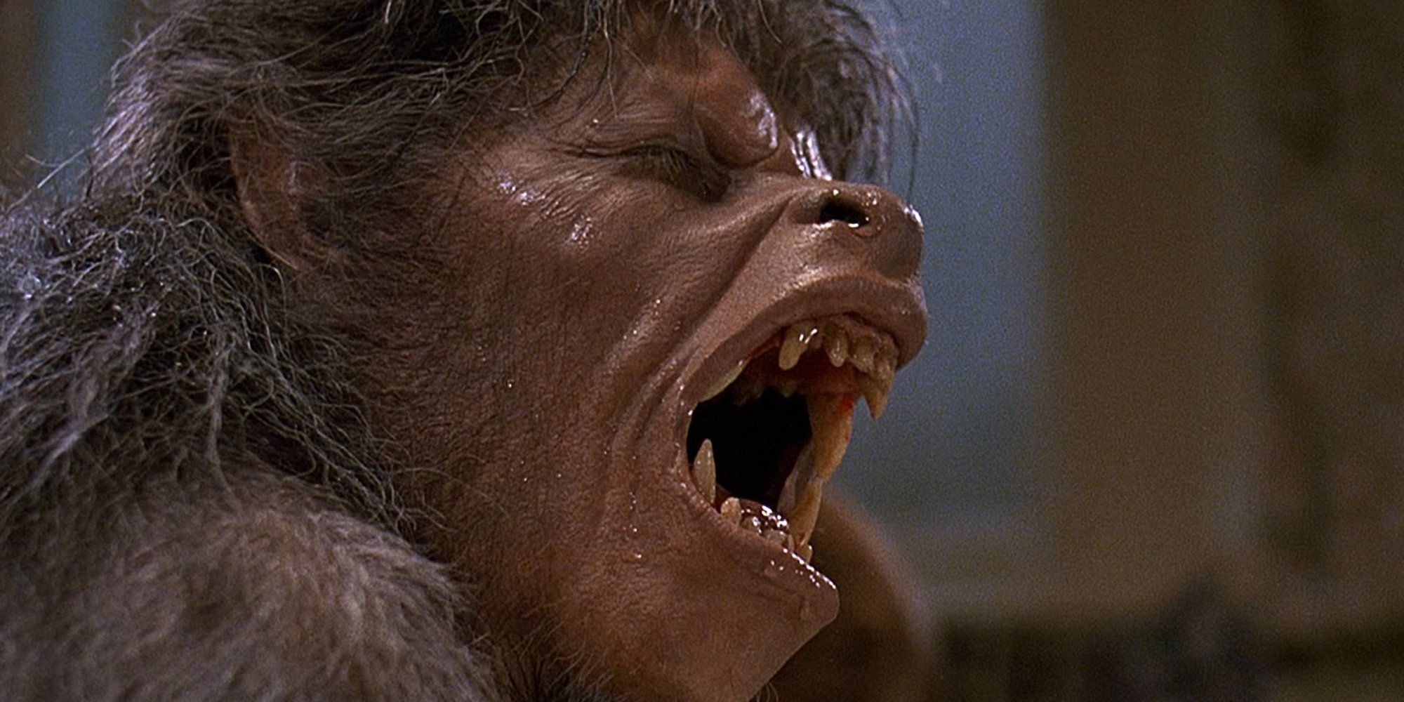 american werewolf in london