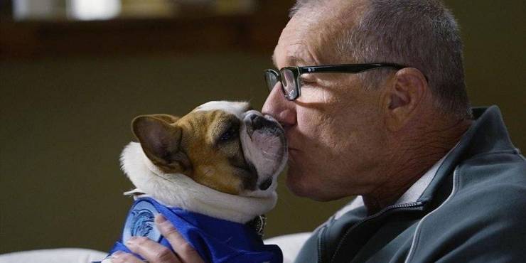 Modern Family 10 Times Jay Loved Stella More Than Gloria