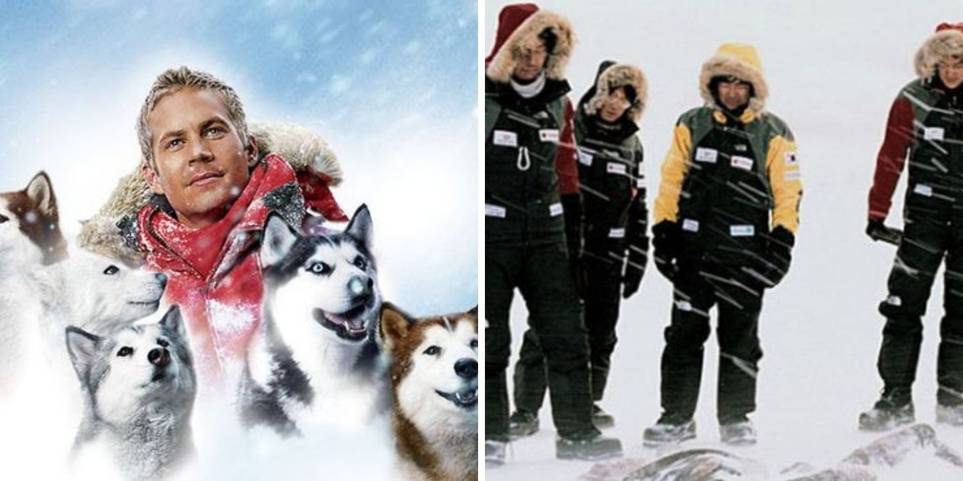 5 Of The Best 5 Of The Worst Hollywood Remakes Of Asian Movies According To Imdb