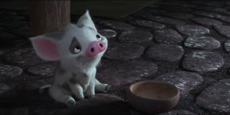 Moana Cast Pig