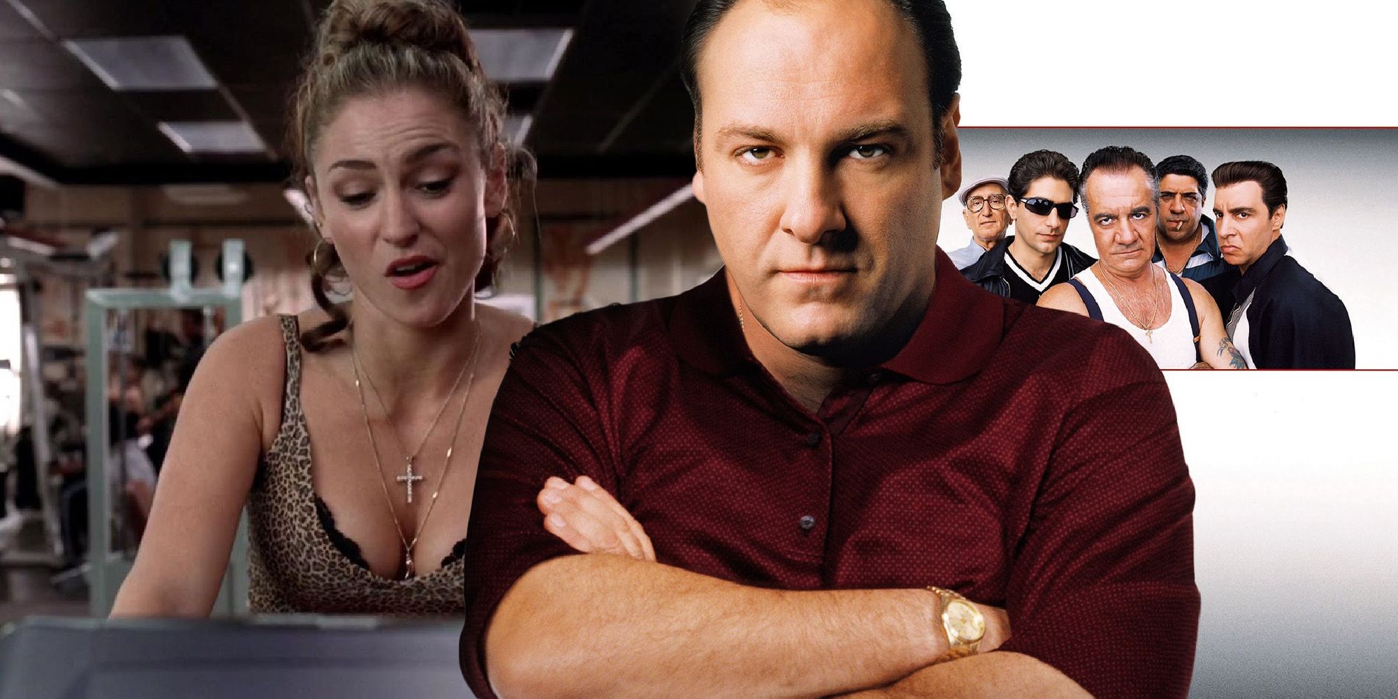The Sopranos: Why Adriana's Season 5 Death Happened Off-Screen