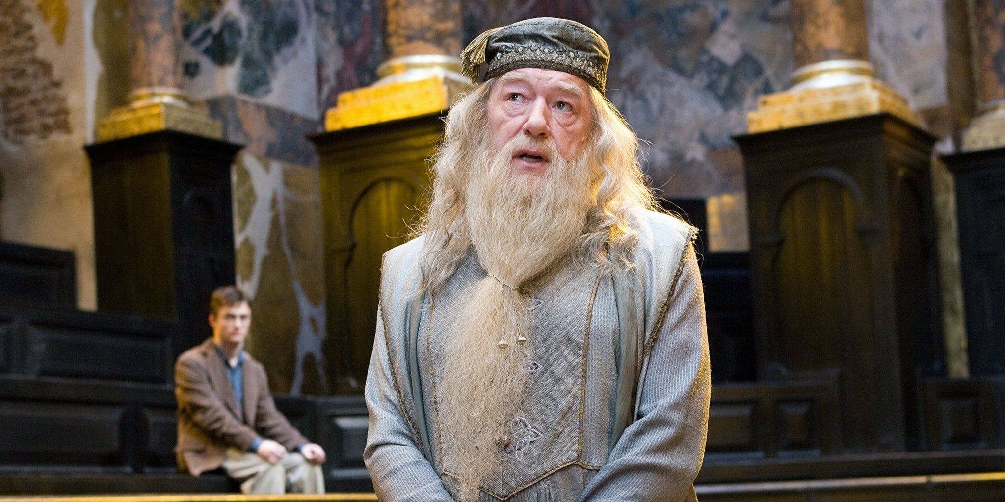 10 Harry Potter Characters Who Deserved To Kill Voldemort (Other Than Harry)