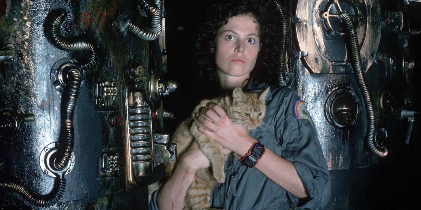 Alien 1979 Ripley Holding Jonesy