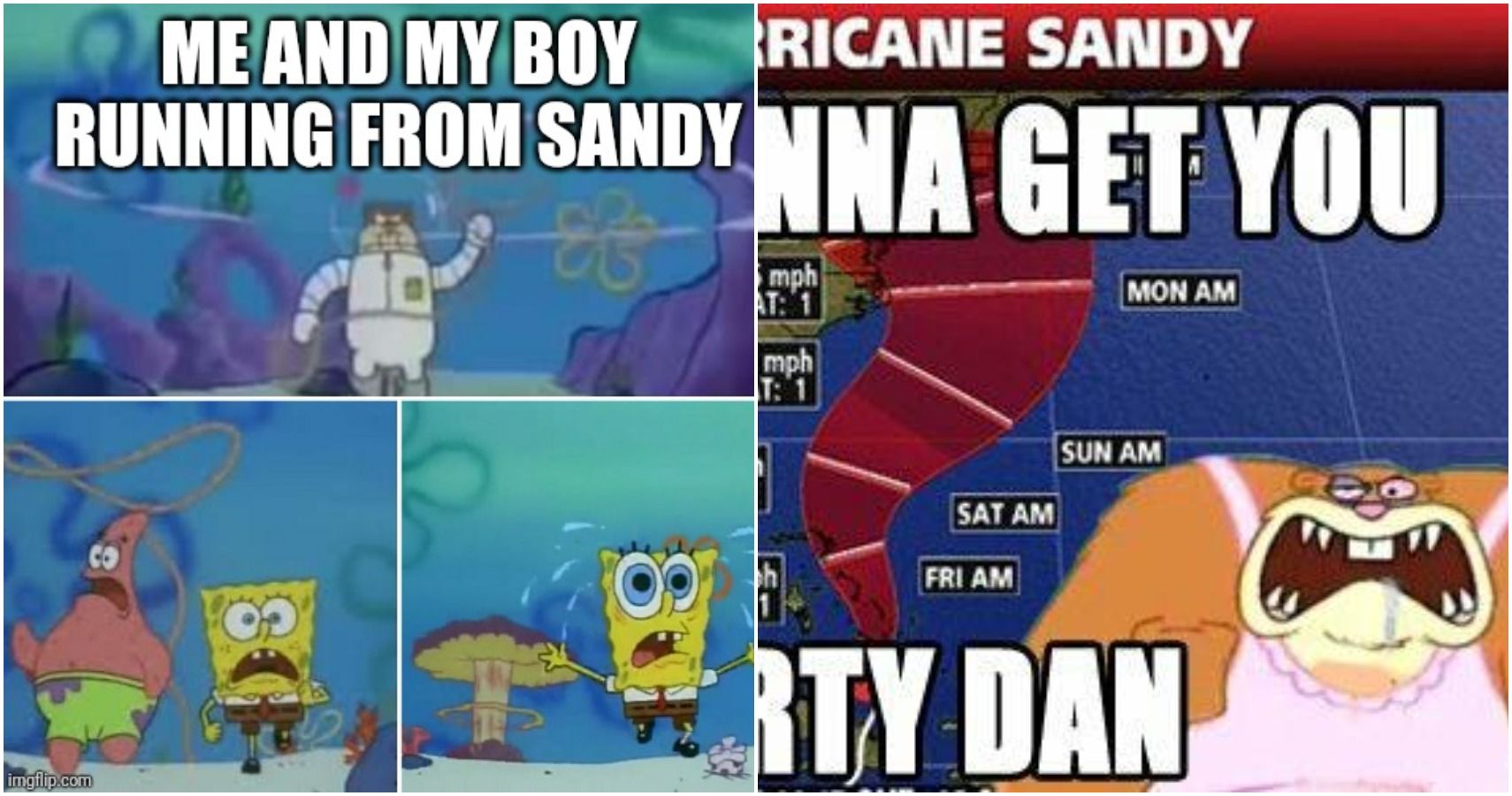 funny sandy cheeks quotes gallerie