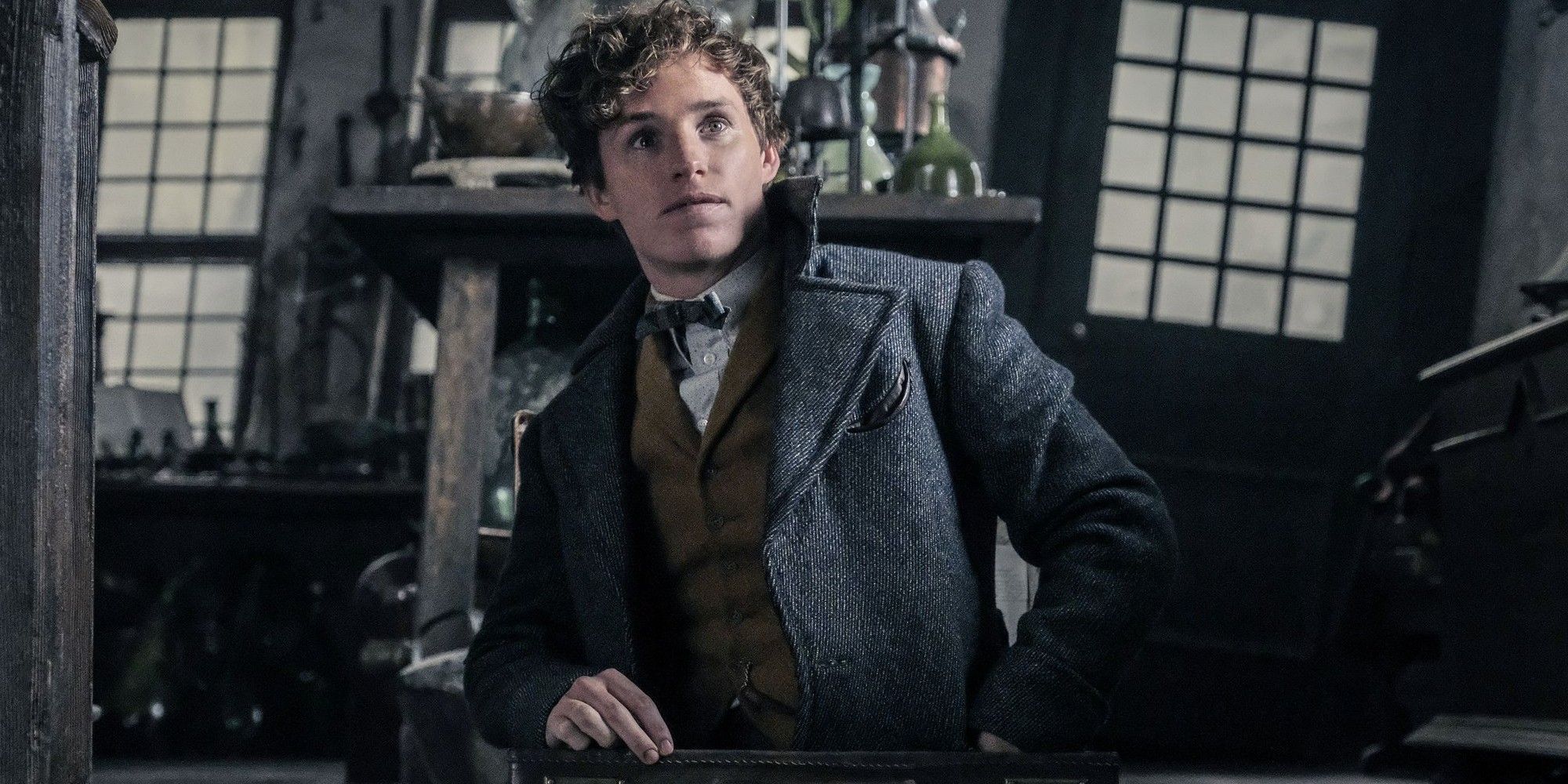 Fantastic Beasts 10 Newt Scamander Facts We Want To See In The Movies