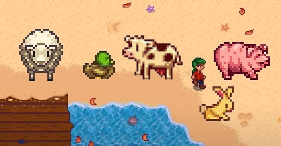 Elle S Coop Animal Replacements Stardew Valley Barn Animals Chicken Coloring