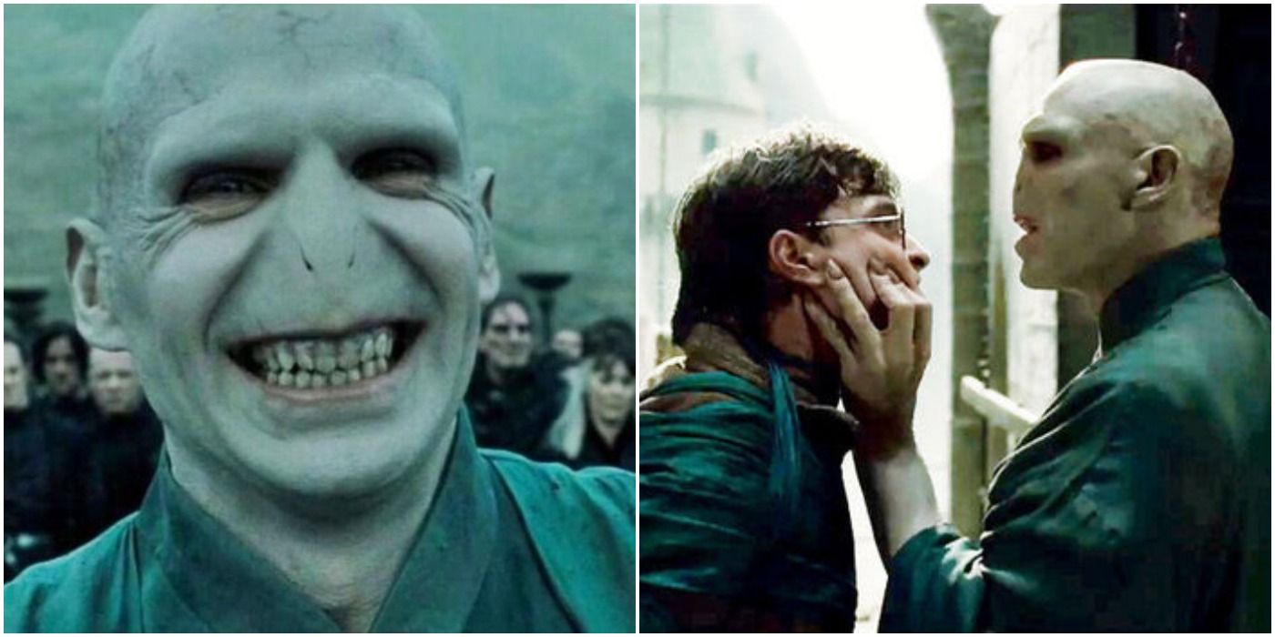 Harry Potter 5 Things Voldemort Was Right About (& 5 He Was Wrong)