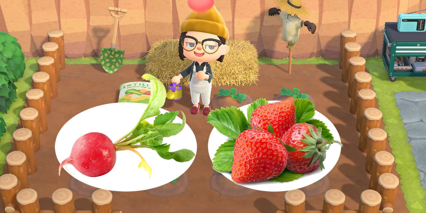 Animal Crossing's 2021 Spring Events Can Make New Horizons Better