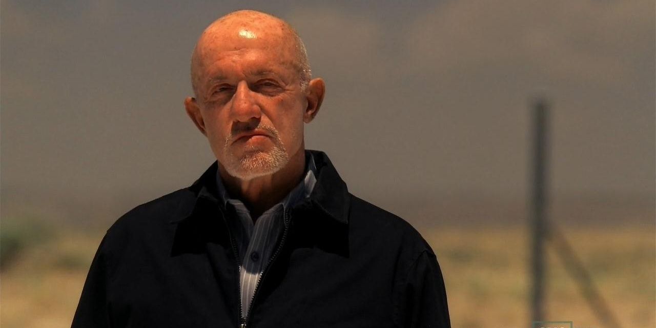breaking bad mike ehrmantraut Cropped