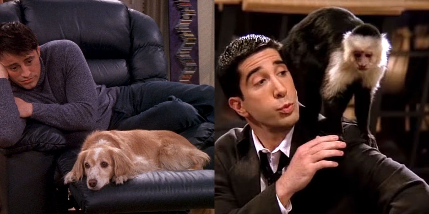 Every Pet On Friends, Ranked ScreenRant