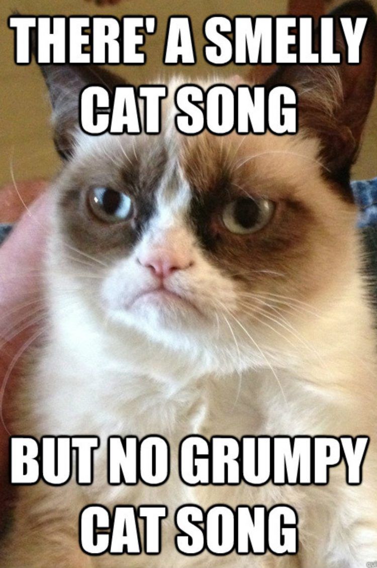 Friends 10 Best Smelly Cat Memes