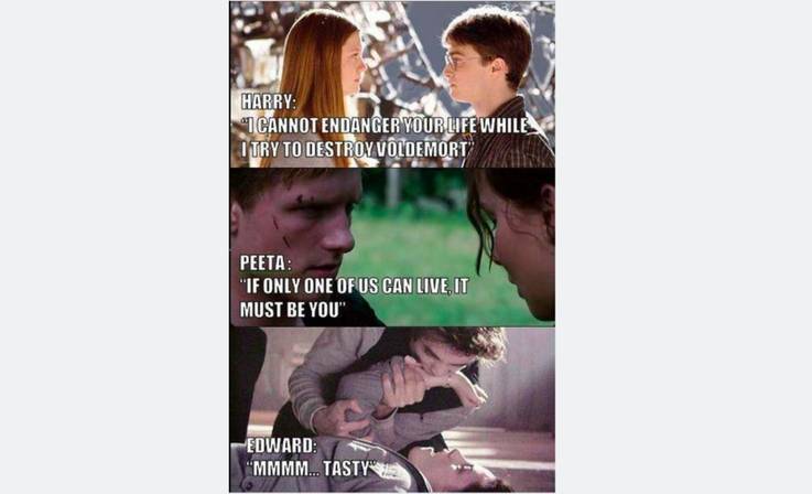 Funny Twilight Vs. The Hunger Games Memes Will Remind You The Old Times! 12 4E447DC9 41E3 4693 AABD CA776E7F763A.jpeg?q=50&fit=crop&w=737&h=448&dpr=1