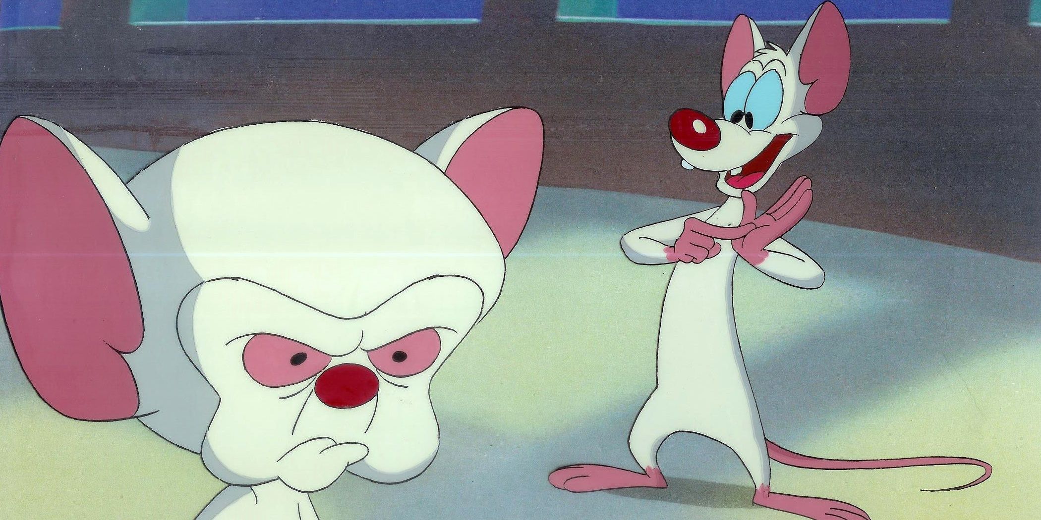Pinky And The Brain Cropped