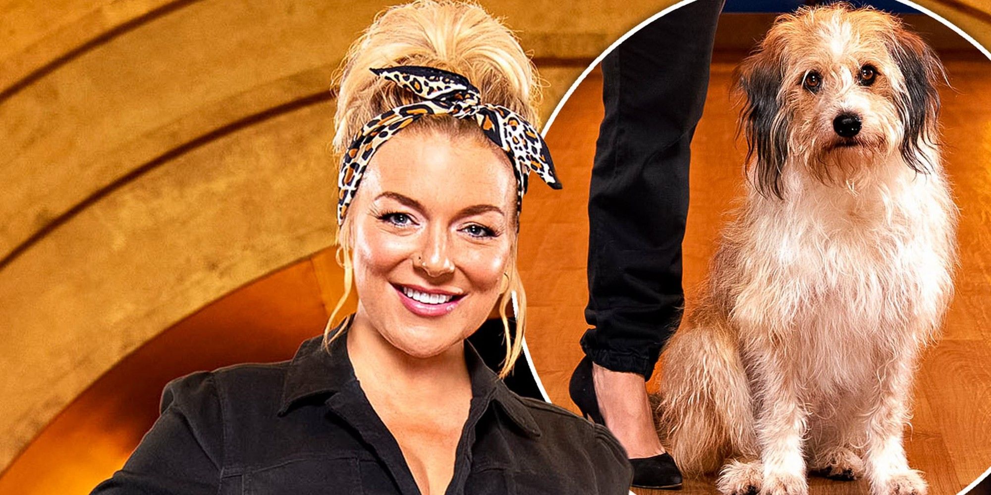 Why Fans Are Accusing Sheridan Smith S Pooch Perfect Of Animal Cruelty Daily Post Usa