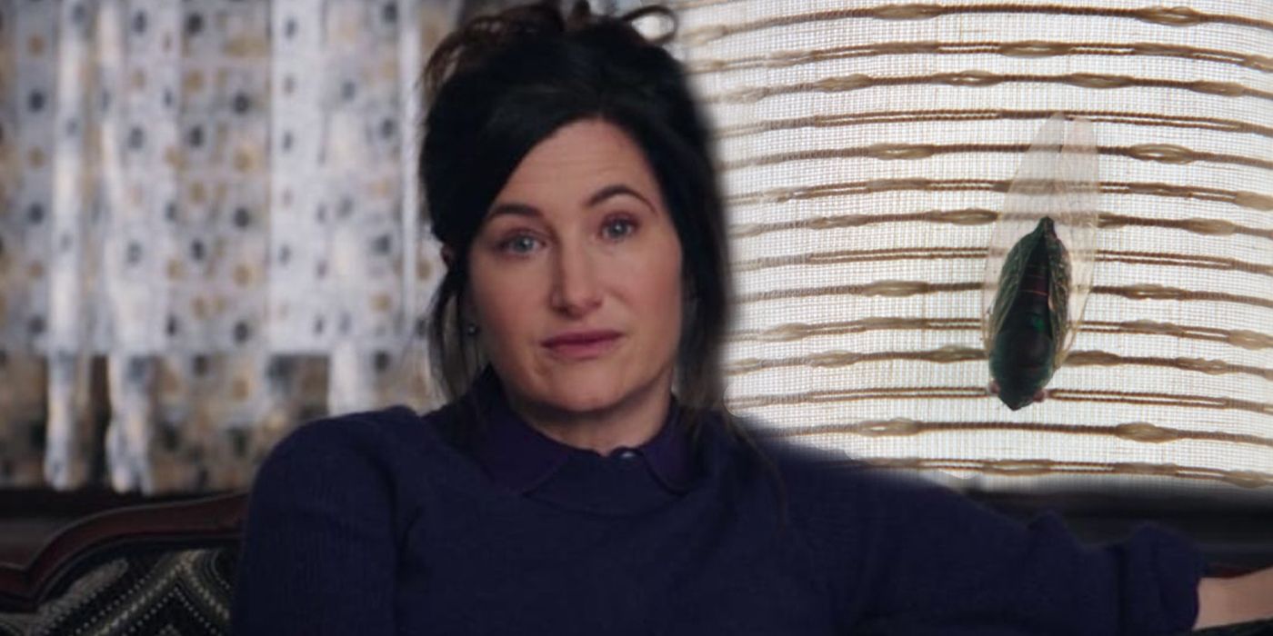 Agnes' House Bug Explained How It Teases To WandaVision's Villain Plan