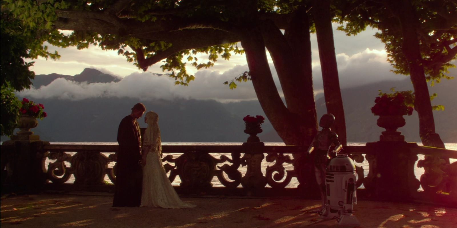 Anakin and Padme wedding in Attack of the Clones