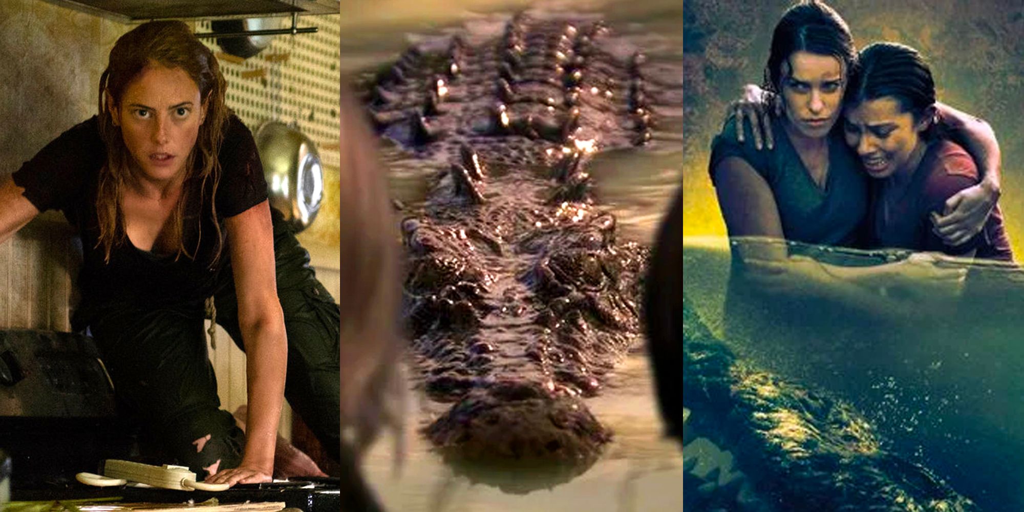 12 Best Crocodile/Alligator Horror Movies, Ranked | ScreenRant