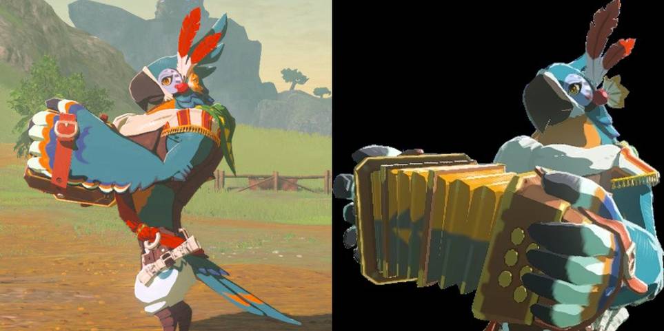 loyalitet antydning rack Breath of the Wild: Is Robbie Actually Kass's Teacher