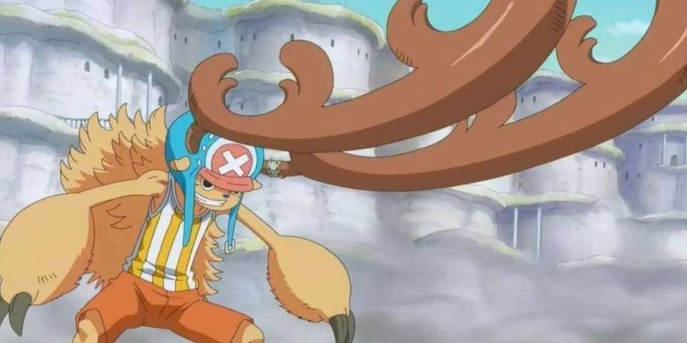 One Piece What Every Straw Hat Member Did During The Time Skip One Piece What Every Straw Hat Member Did During The Time Skip