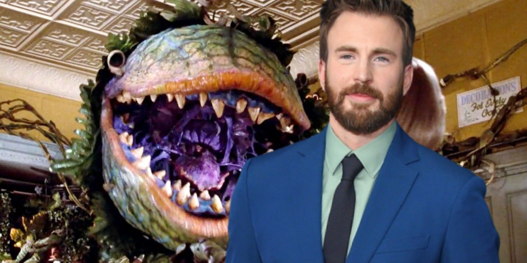 Chris Evans Encourages Fans To Campaign For Little Shop Of Horrors Reboot