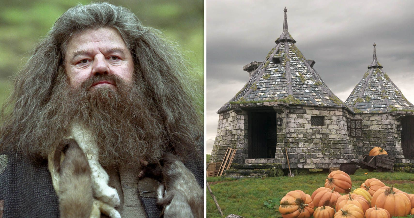 Harry Potter 10 Hagrids Hut Moments The Movies Missed Out On