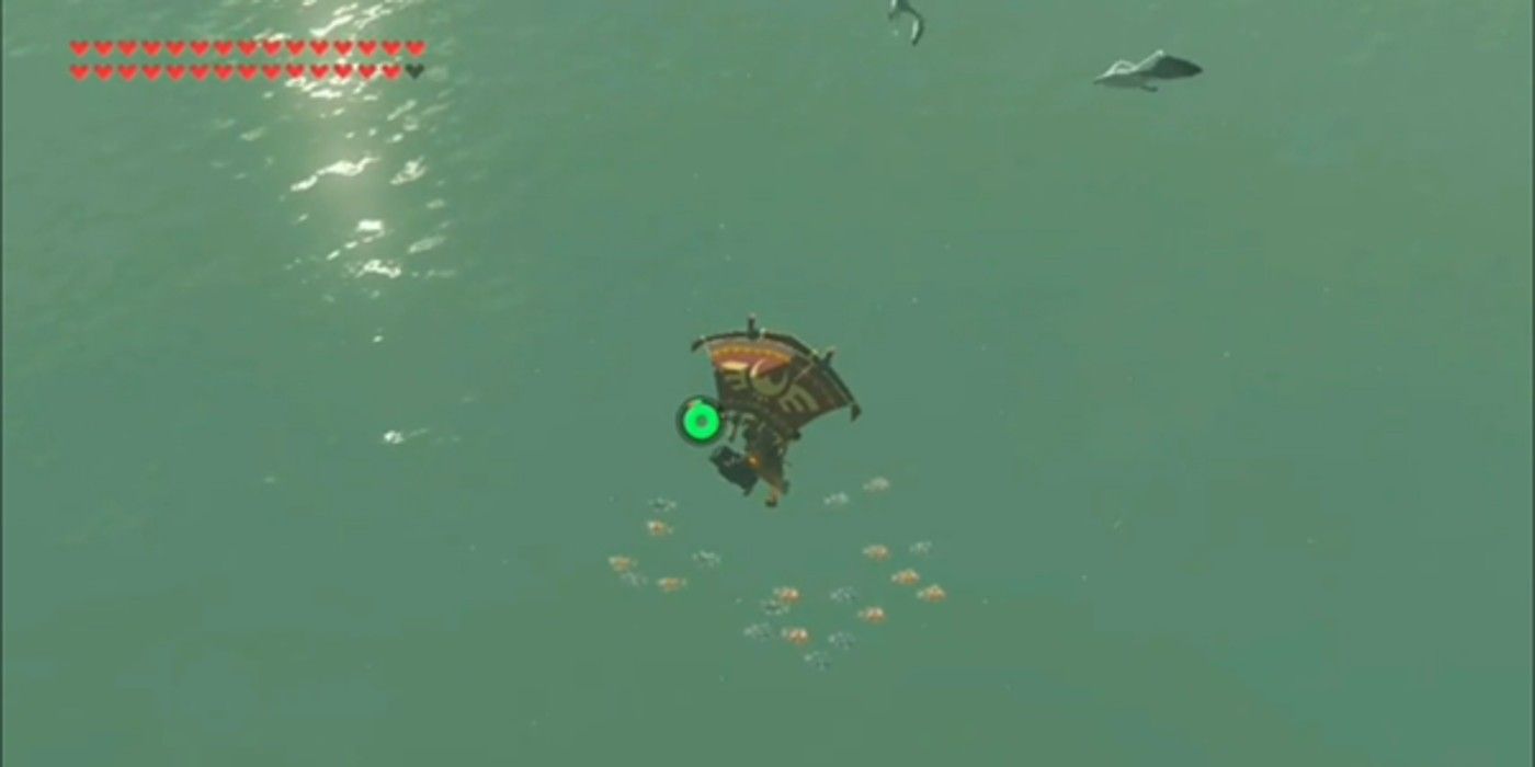 Breath Of The Wild Player Uses Seagulls To Find Better Fishing Spots