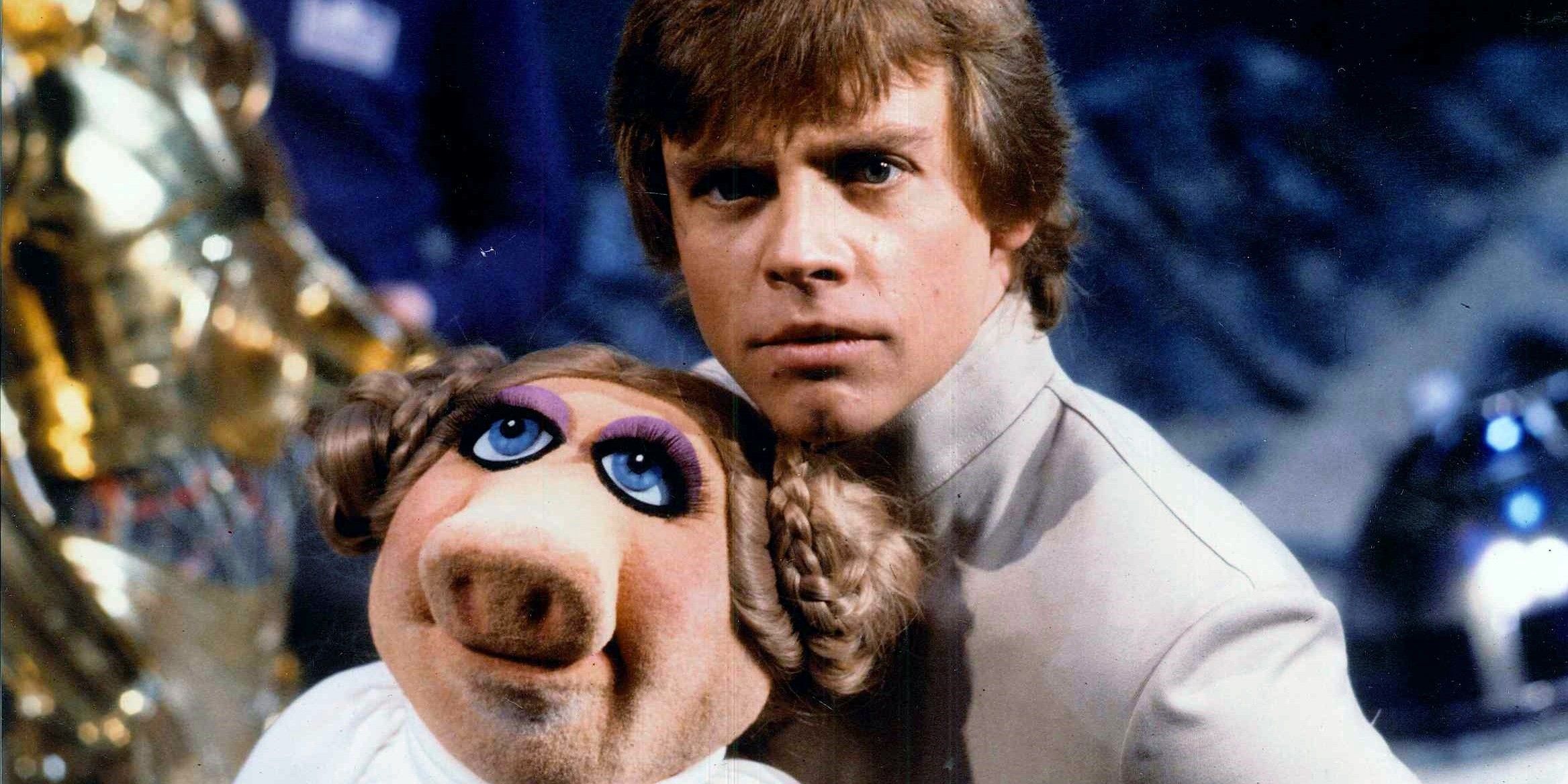 Mark Hamill Muppet Show