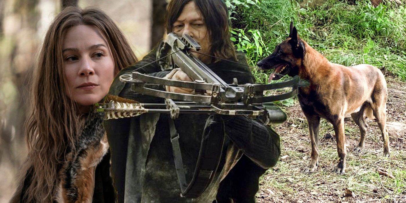 The Walking Dead Explains Daryls Missing Time Jump Story