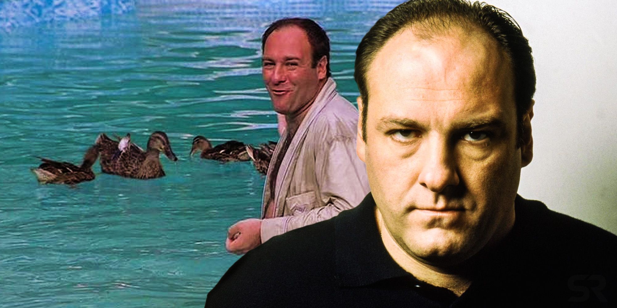 The Sopranos All 6 Animal Symbols For Tony (& What They Mean)