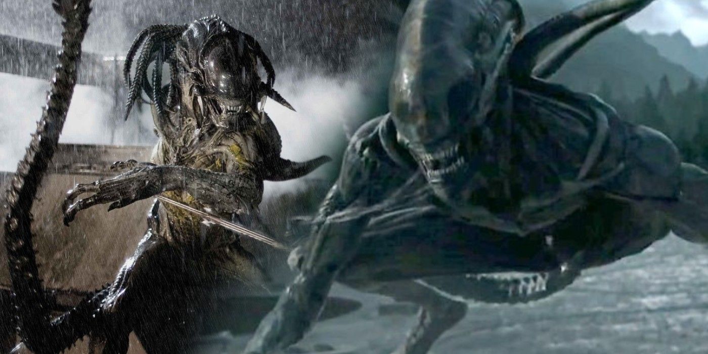 alien vs predator predalien