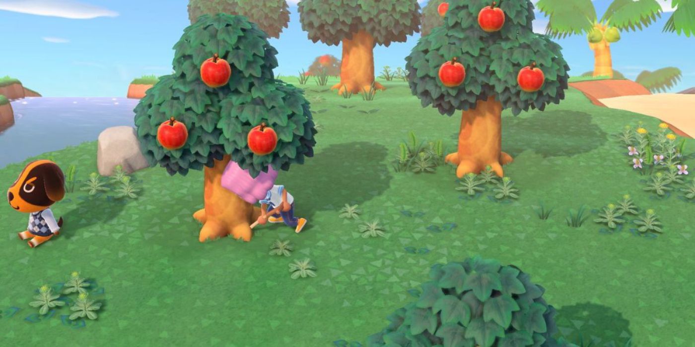 A player digs up a fruit tree in Animal Crossing New Horizons