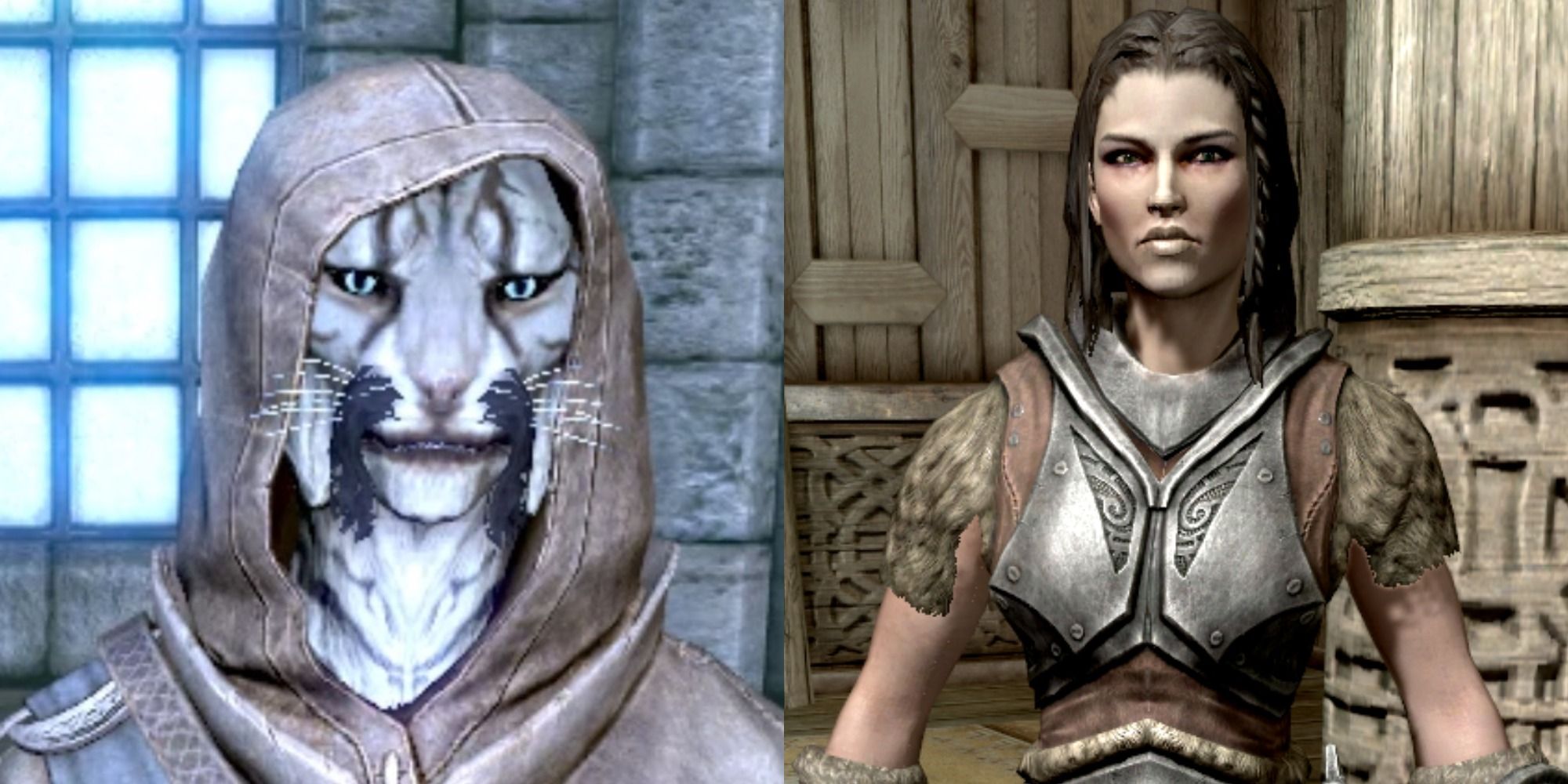 who is the best follower skyrim